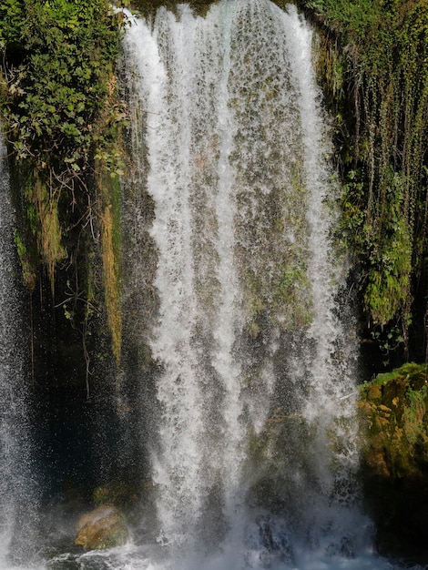 Een waterval in het bos