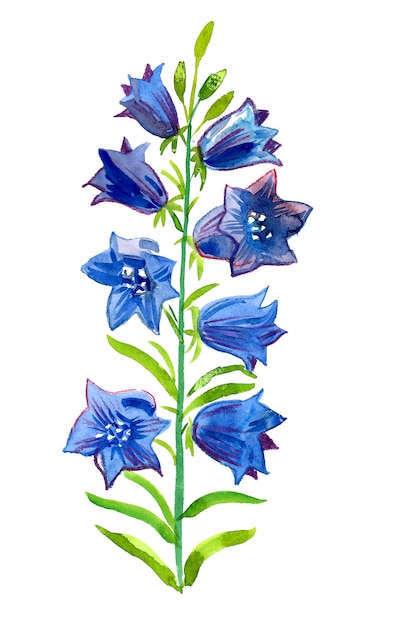 Een waterverftekening van blauwe bloemen met het woord blauw erop.