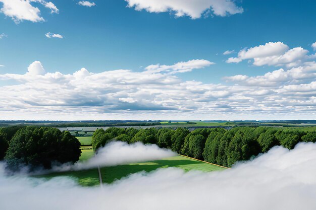 Foto een weelderig groen veld met een groene hemel