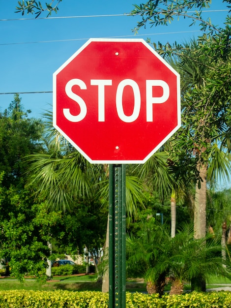 Een weergave van een stopbord op de zomer met bomen