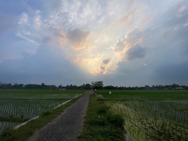 Een weg die leidt naar een veld met een bewolkte hemel