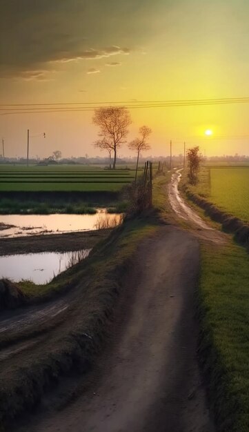 Een weg die leidt naar een veld met een veld en bomen op de achtergrond.