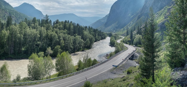 Een weg in een bergkloof met een rivier het zomergroen