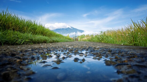 Een weg met een plas water en een berg op de achtergrond