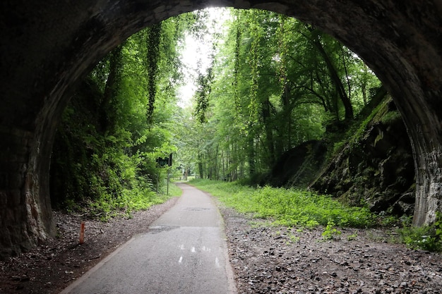 Een weg met een tunnel waar bomen uit groeien