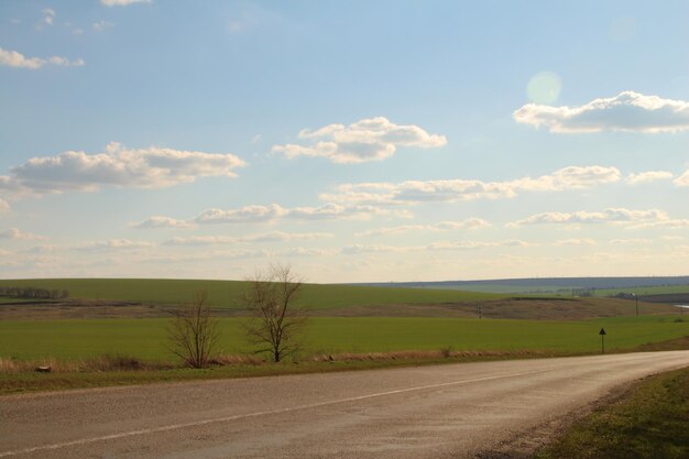 Een weg met gras en bomen aan de zijkant