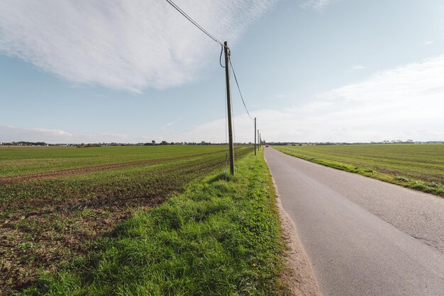 Een weg midden in een landbouwveld tegen de lucht.