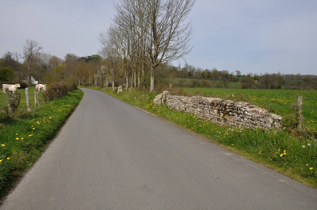 Een weg op het platteland van Normandië