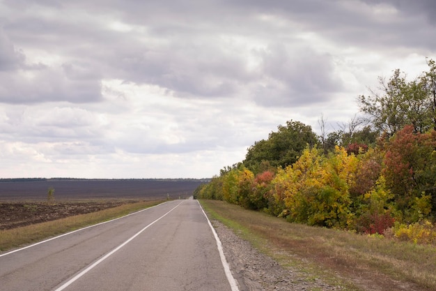 Foto een weg tussen geploegde velden en bossen, herfsttijd.