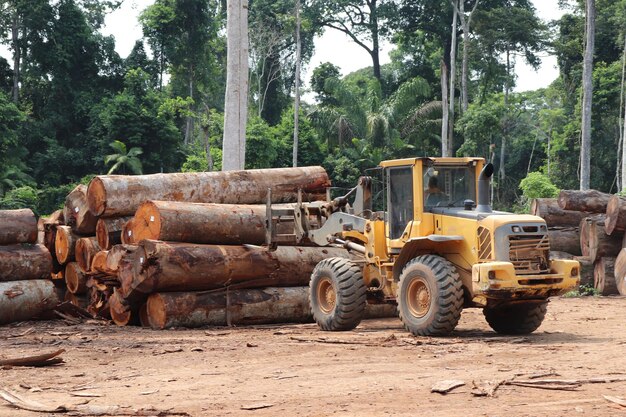 Foto een wiellader die stapels inheemse houtblokken uit het braziliaanse amazone-regenwoud rangschikt