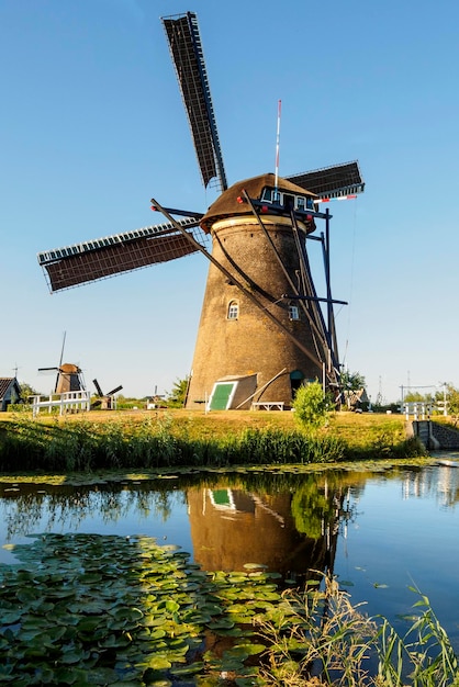 Een windmolen aan de oever van een kanaal met riet in Kinderdijk Holland Nederland