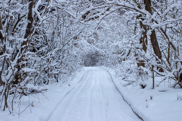 Een winterlandschap met sneeuw