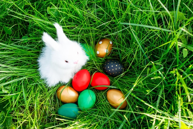 Een wit pluizig speelgoedkonijn zit in het groene gras met kleurrijke paaseieren. feestelijke paassamenstelling.