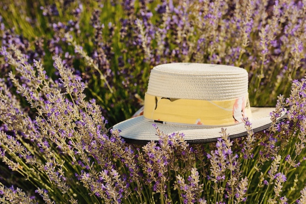 Een witte hoed ligt op een lavendelstruik Compositie voor een ansichtkaart