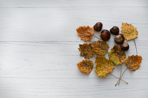 Een witte houten tafel met herfstbladeren en een bos herfstbladeren erop.