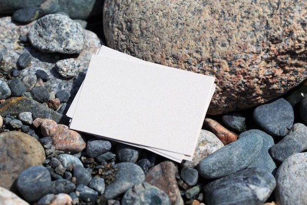 Een witte noot ligt op een strand met rotsen en kiezels.