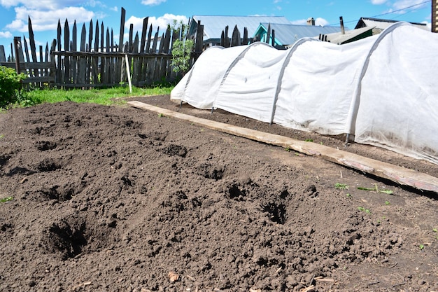 Een witte serre in de tuin met een houten hek op de achtergrond in zonnige dag