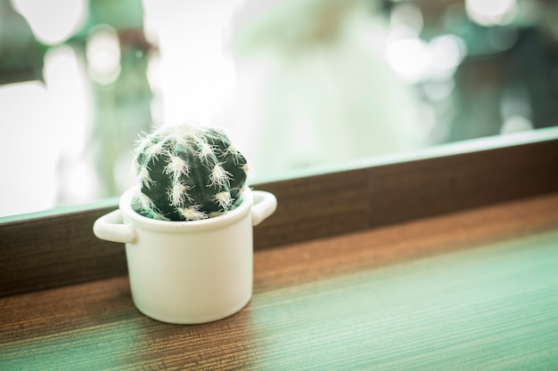 Foto een witte werper van cactus op houten lijst