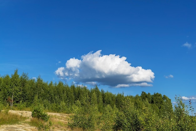 Een witte wolk in de blauwe lucht boven het bos