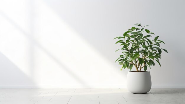 een witte woonkamer met groen