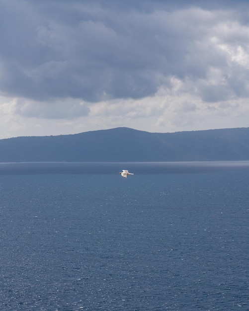 Een witte zeemeeuw vliegt over de blauwe zee Majestueuze bergen aan de horizon Grijze stormachtige lucht Vrijheid Vlucht Lange weg Onafhankelijkheid