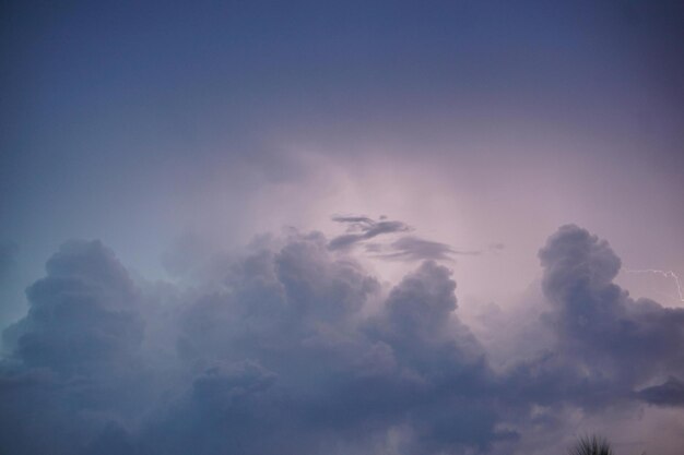 Foto een wolk met een vogel erin.