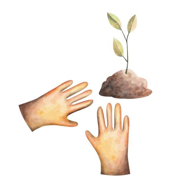 Een zaailing in de grond en gele handschoenen Tekening van een plant in de grond met handschoenen