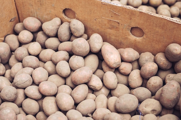 Een zak met rauwe en vuile aardappelen. Verse aardappelen close-up in een raster.