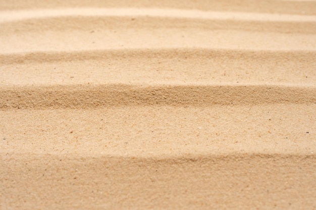Een zandduin met een golfje er middenin.