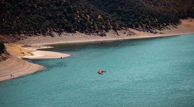 Foto een zandstrand in het water