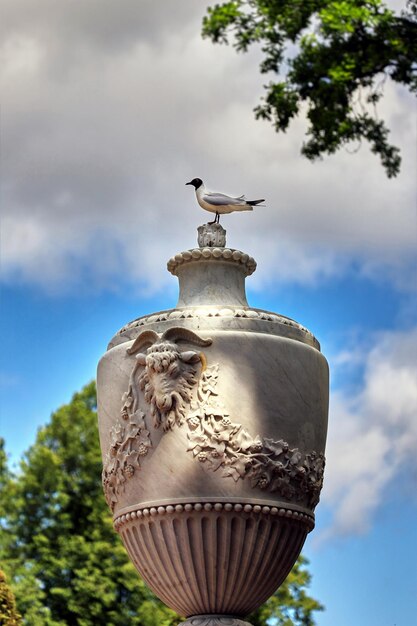Een zeemeeuwvogel zit op een marmeren vaas in een park tegen de hemel