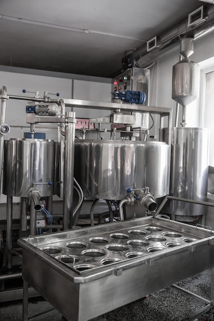 Een zelfgemaakte kaasproducent produceert 's ochtends handgemaakte mozzarella met verse kwaliteitsmelk van de schapen van haar koeien. Concept traditionele mozzarella van italië
