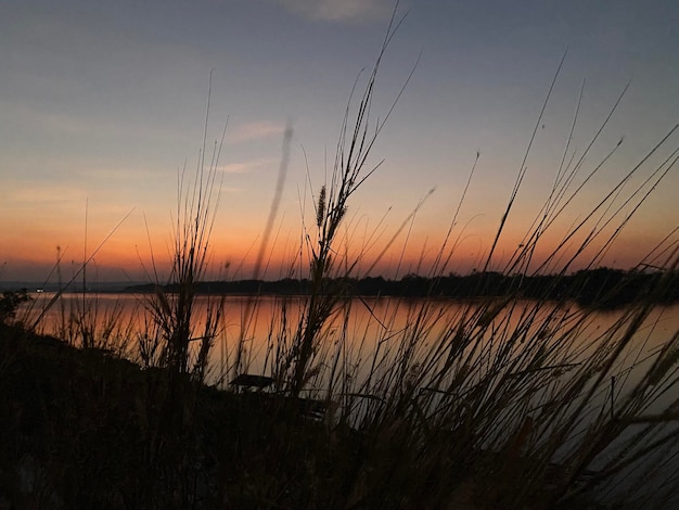 Een zonsondergang boven een meer met wat hoog gras op de voorgrond.