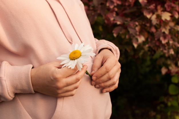 Foto een zwangere vrouw in een roze blouse houdt een madeliefje in haar handen in close-up met een plek voor tekst