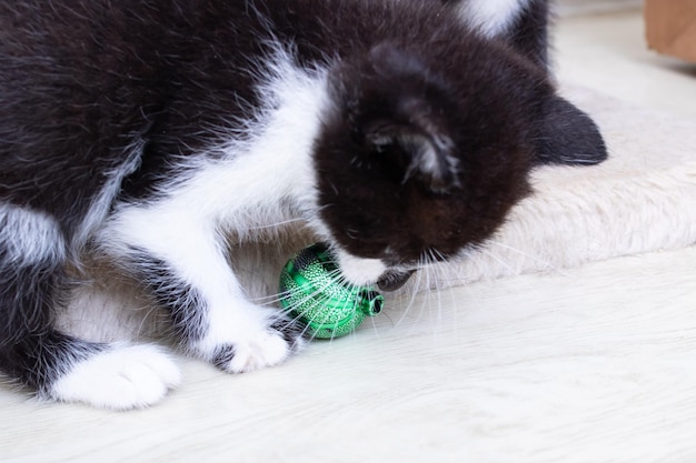 Een zwart katje dat met een groene bal speelt