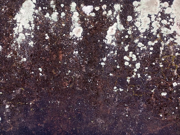 een zwart-wit foto van een grunge oppervlak met een grunge textuur