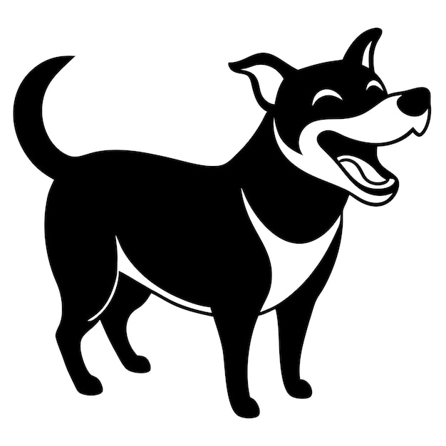 een zwart-witte hond met een witte kraag en een zwarte-witte kraag