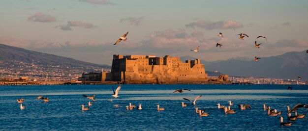 Een zwerm meeuwen vliegen op zonsondergang tijd op Castel dell'Ovo over de zee in Napels, Italië. Egg Castle.