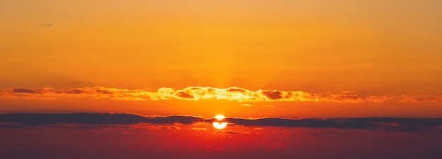 Een zwerm trekvogels die bij zonsondergang in de lucht vliegen