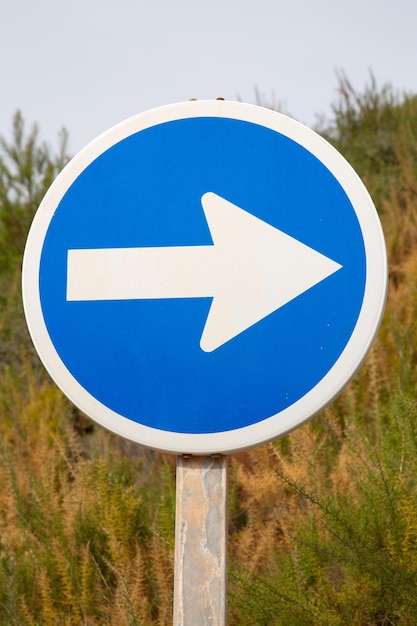 Eenrichtingsverkeersbord in de natuur