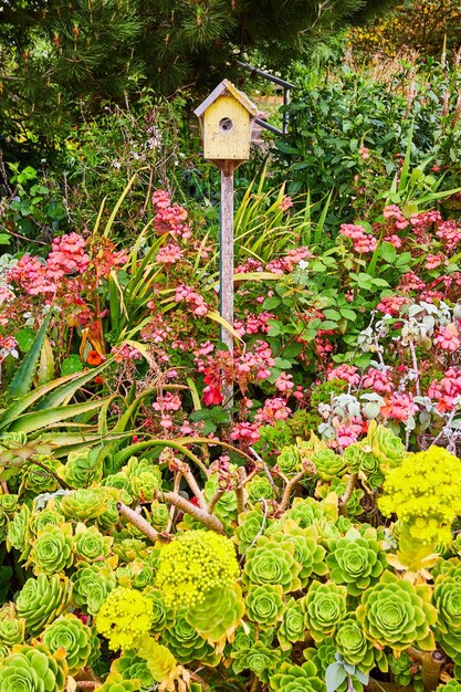 Foto eenvoudig geel vogelhuis omringd door roze bloemen en groene en gele succulenten