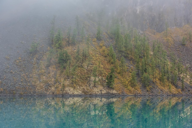 Eenvoudig meditatief landschap met bosheuvelreflectie in rustig turkoois meer in mist Bemoste kust met sparren in vervagende herfstkleuren weerspiegeld in spiegelbergmeer Herfstkust van bergmeer