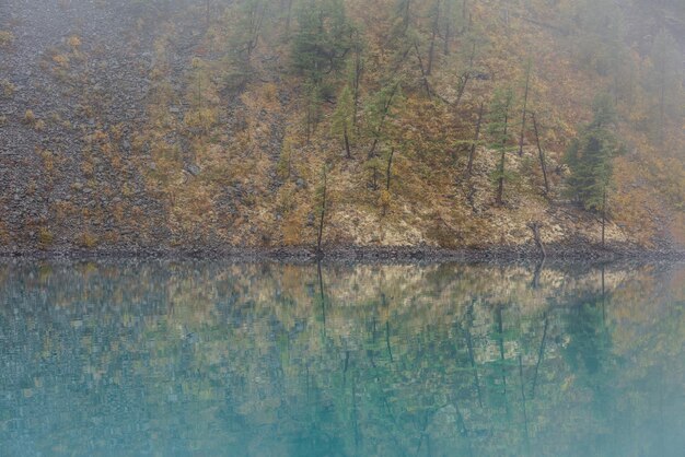 Eenvoudig meditatief landschap met weerspiegeling van bosheuvels in een rustig turquoise meer in mist Mossy kust met dennen in vervaagende herfstkleuren weerspiegeld in spiegel bergmeer Herfstkust van een alpenmeer