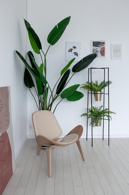 Eenvoudig minimalistisch modern interieur van lichte, lichte kamer met schone witte muren