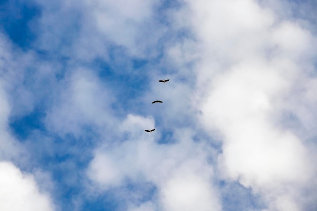 eenvoudige wolken