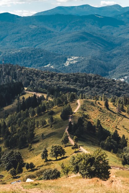 Eenzaam bergpad op de bergkam