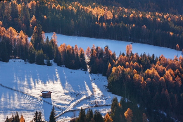 Eenzaam huis in het bos in de Dolomieten, Italië