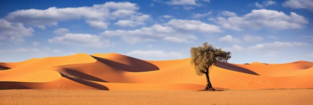 Eenzame boom in de zandwoestijnduinen in de Merzouga Sahara-woestijn