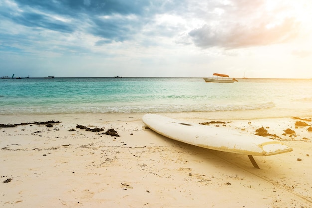 Eenzame eenvoudige witte surfplank op een zandstrand met zand bedekt met onkruid