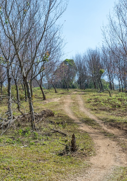 Eenzame onverharde weg